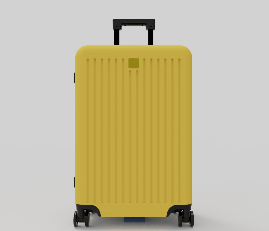 Copy of Luggage - Lemon