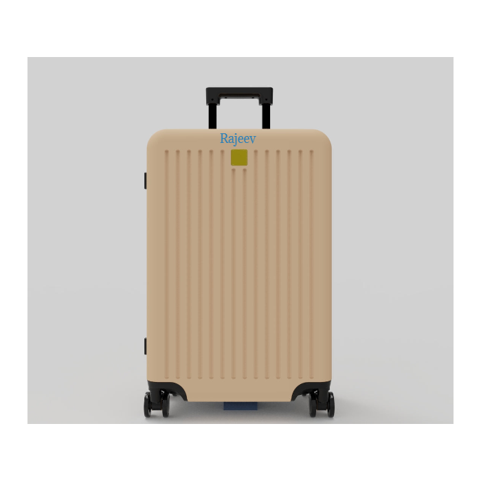 Copy of Luggage - Beige