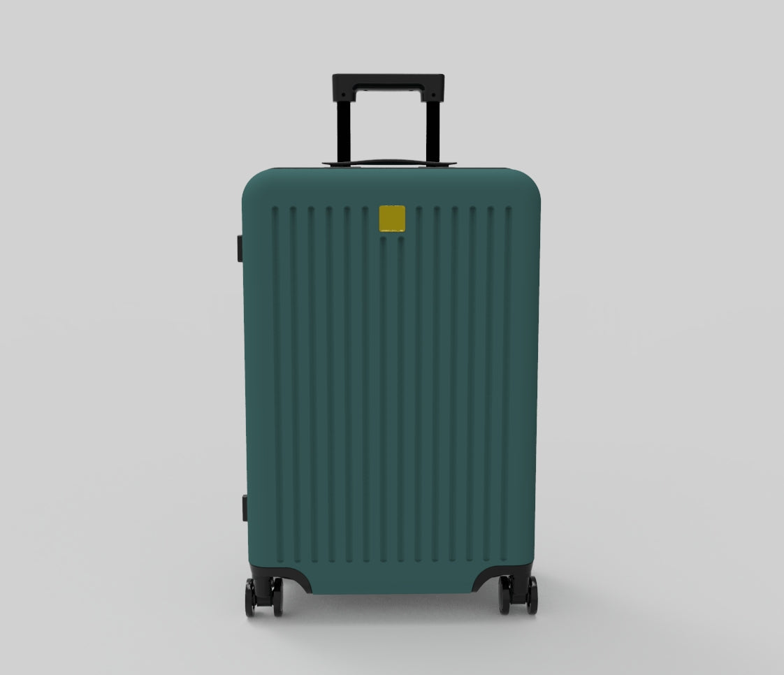 Luggage - Green