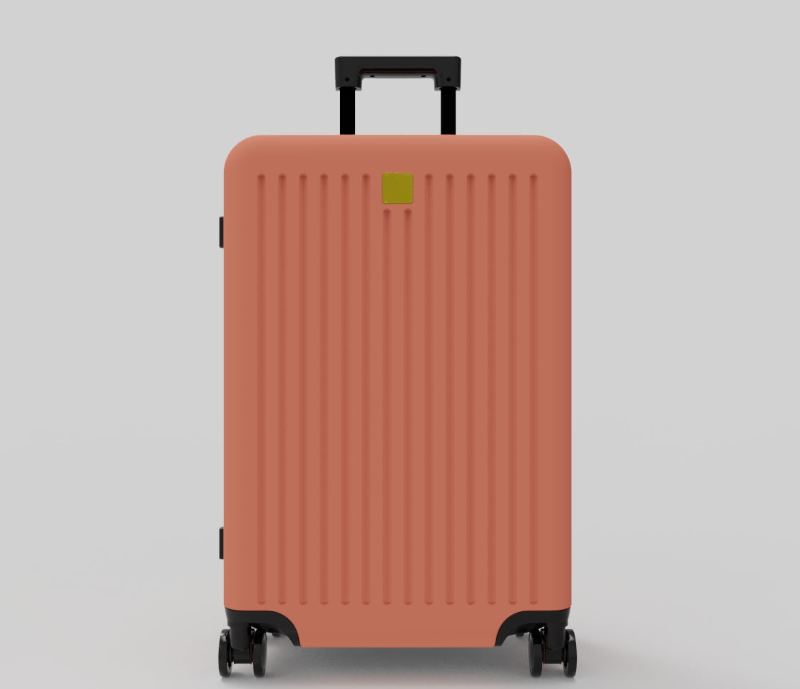Luggage - Terra